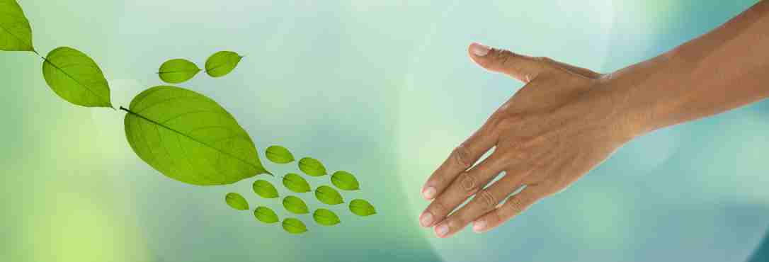Eco-friendly event planning –  sustainable solutions for corporates
